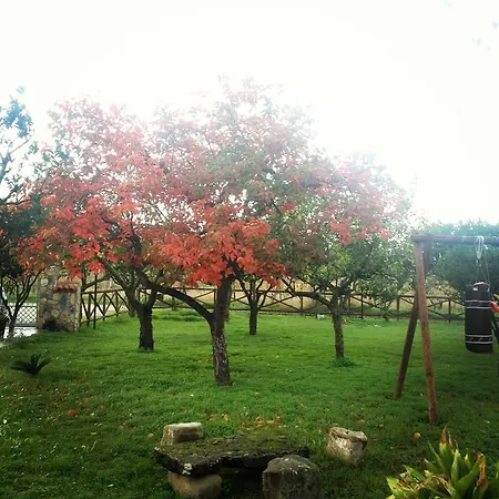 Panta Rei Bed & Breakfast 3*