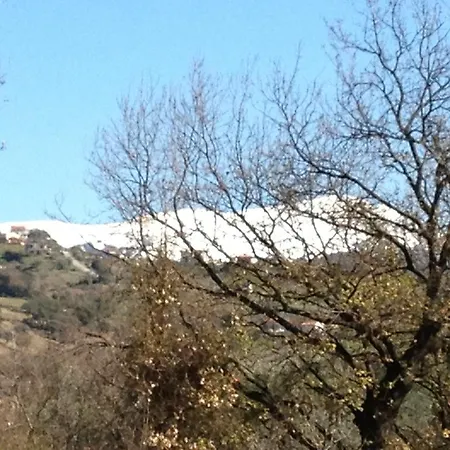 Panta Rei B&B 3*