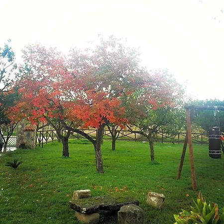 Panta Rei B&B 3*