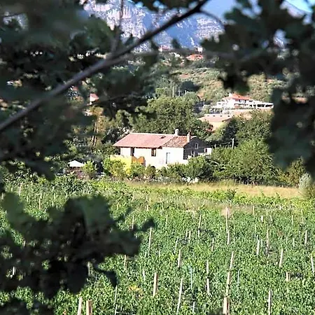 Panta Rei Cicerale