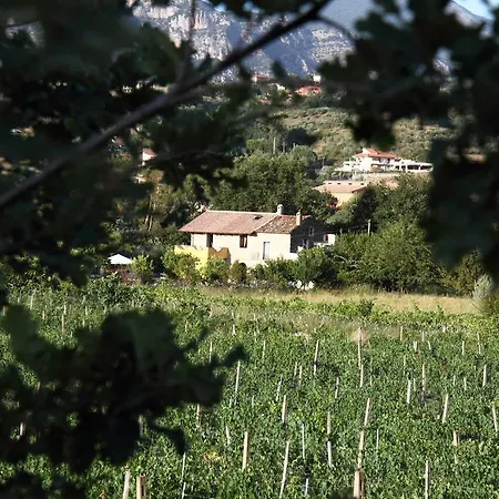 Panta Rei 3* Cicerale
