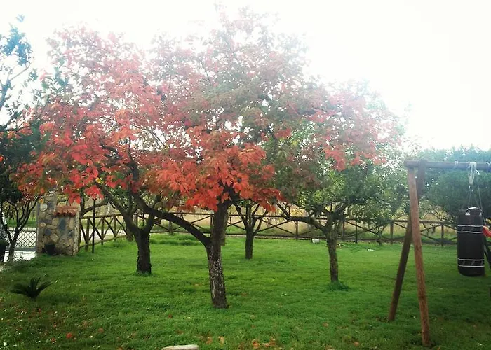 Panta Rei Bed & Breakfast 3*